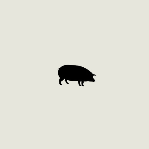 Pork